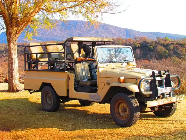 This special South African safari is for cat ladies (and lads)