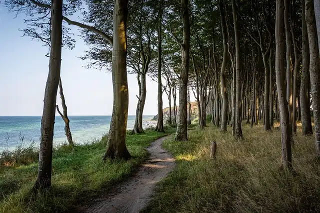 Latvia: Beaches, Nature & History – Summer Travel Guide