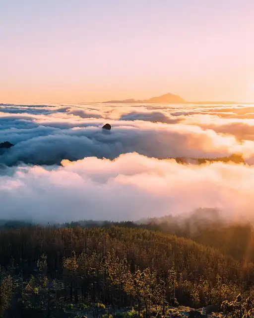 Tenerife Airbnbs: Luxury Stays & Island Escapes