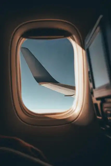 Airline Food Survival: Tips for Better In-Flight Meals