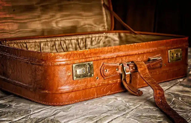Airplane Shoe Dispute: Rights, Rules, and Luggage Bins