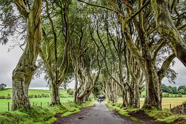 House of Guinness: Filming Locations & Production Secrets